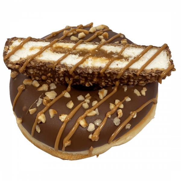 DP16 - Donut mit Maxi King