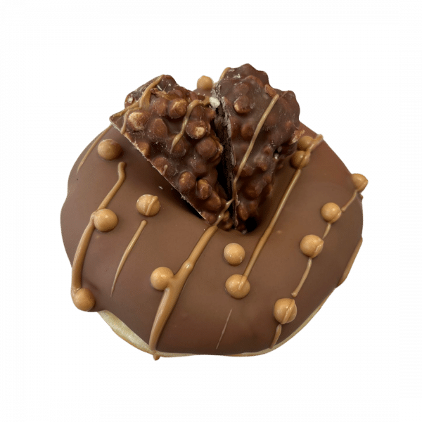 Donut DP23 - mit Lion