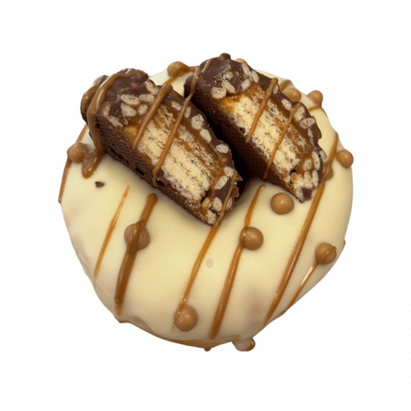 Donut DP23 - mit Lion