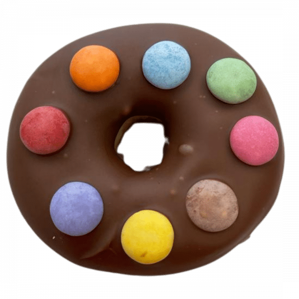 DE04 - Donut mit Smarties